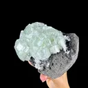 Green Apophyllite Cluster on Dark Matrix - Collector’s Zeolite Specimen from Ahilyanagar - image 4