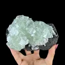 Green Apophyllite Cluster on Dark Matrix - Collector’s Zeolite Specimen from Ahilyanagar - image 1