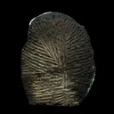 Green Apophyllite Crystal Cluster on Chalcedony Matrix – Rare Indian Zeolite Mineral Specimen - image 7