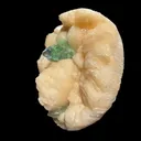 Green Apophyllite Crystal Tip on Stilbite Matrix – Rare Indian Zeolite Mineral Specimen from Maharashtra DKT60 - image 4