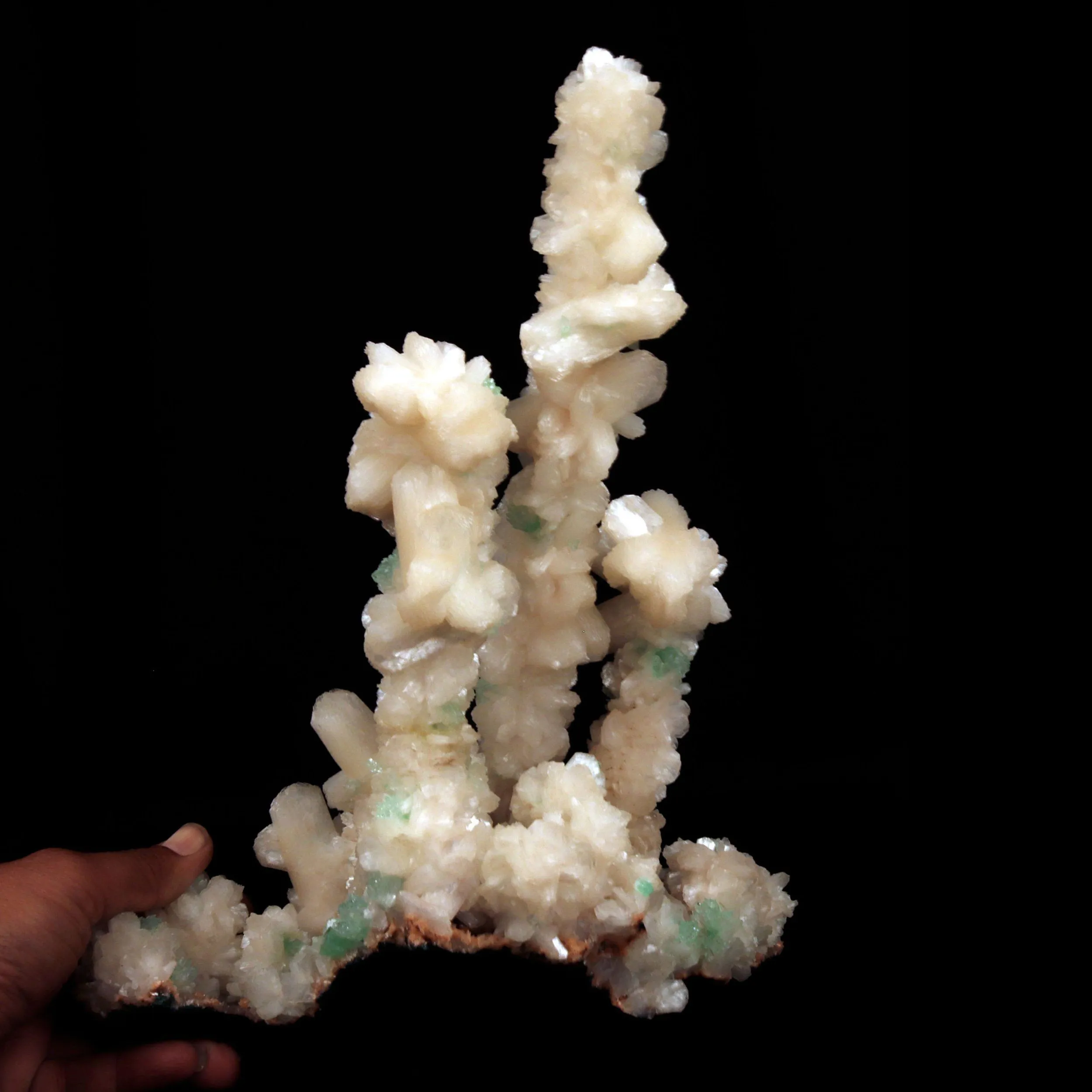 Green Apophyllite Crystals with Stilbite on Heulandite Bush Formation - image 4