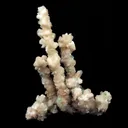 Green Apophyllite Crystals with Stilbite on Heulandite Bush Formation - image 1