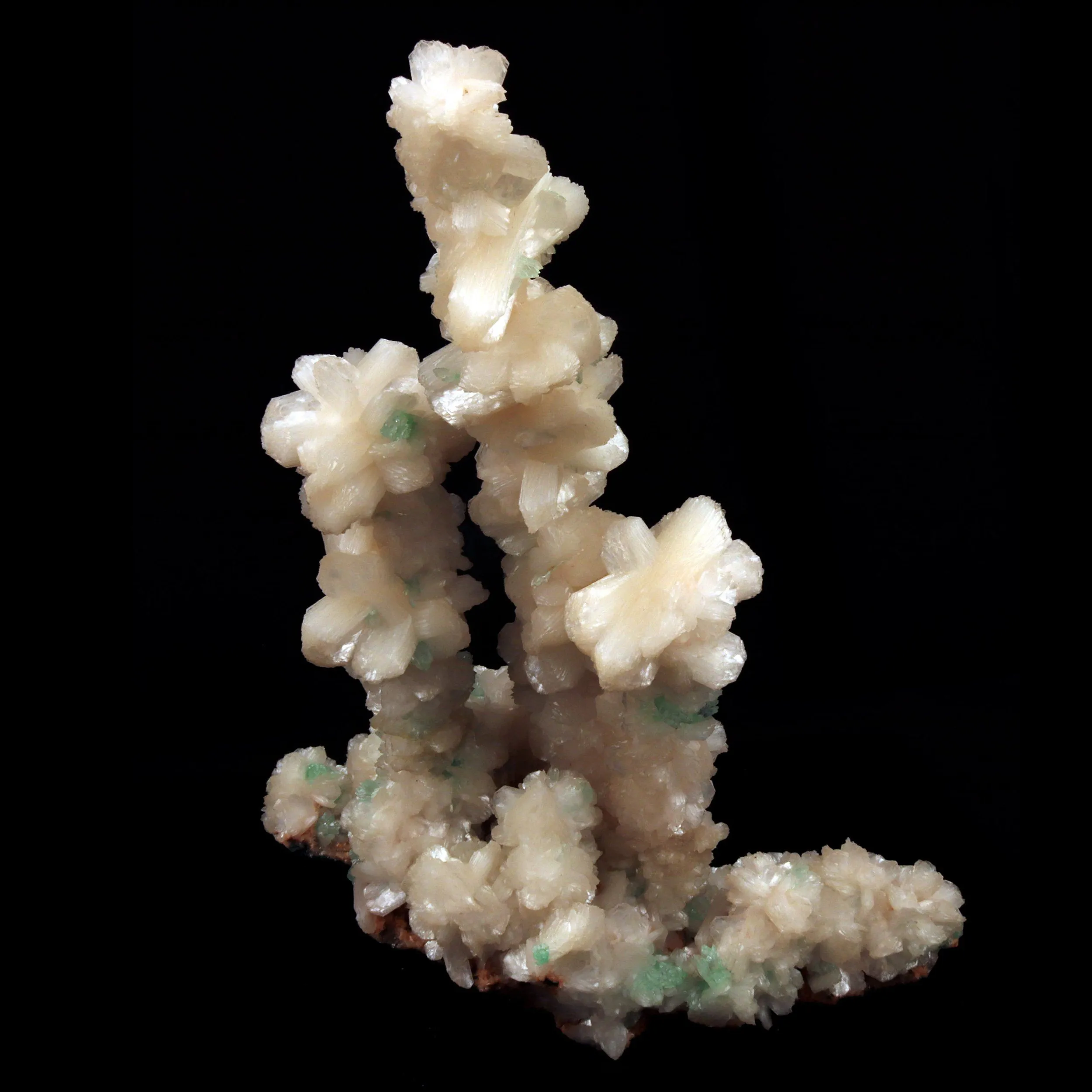 Green Apophyllite Crystals with Stilbite on Heulandite Bush Formation - image 6