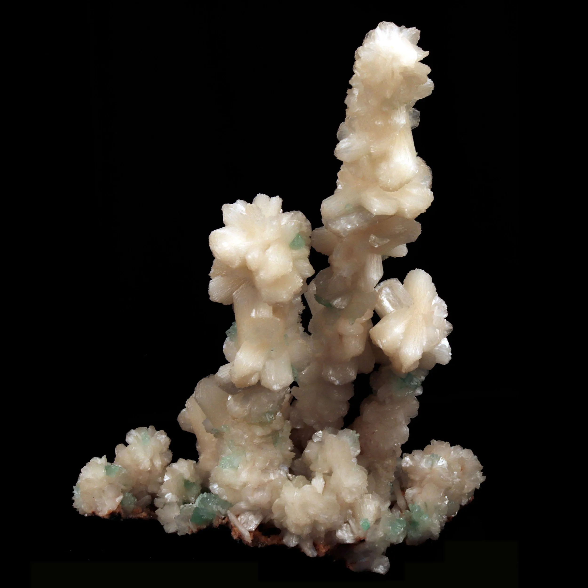 Green Apophyllite Crystals with Stilbite on Heulandite Bush Formation - image 5