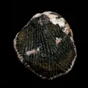 Green Apophyllite Cube with Stilbite and Chalcedony Natural Mineral Specimen - image 4