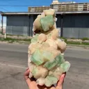 Green Apophyllite Cubes on Stilbite Matrix – Rare Indian Zeolite Crystal Specimen - image 8