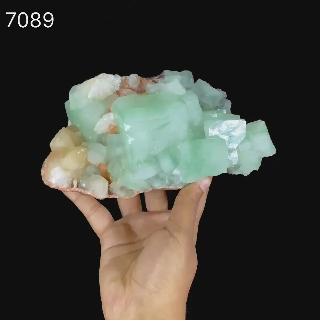 Green Apophyllite Cubes with Stilbite – Premium Zeolite Mineral Specimen from India - image 6