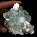 Green Apophyllite Disco Ball with Stilbite, Mordenite Natural Mineral Specimen - image 4