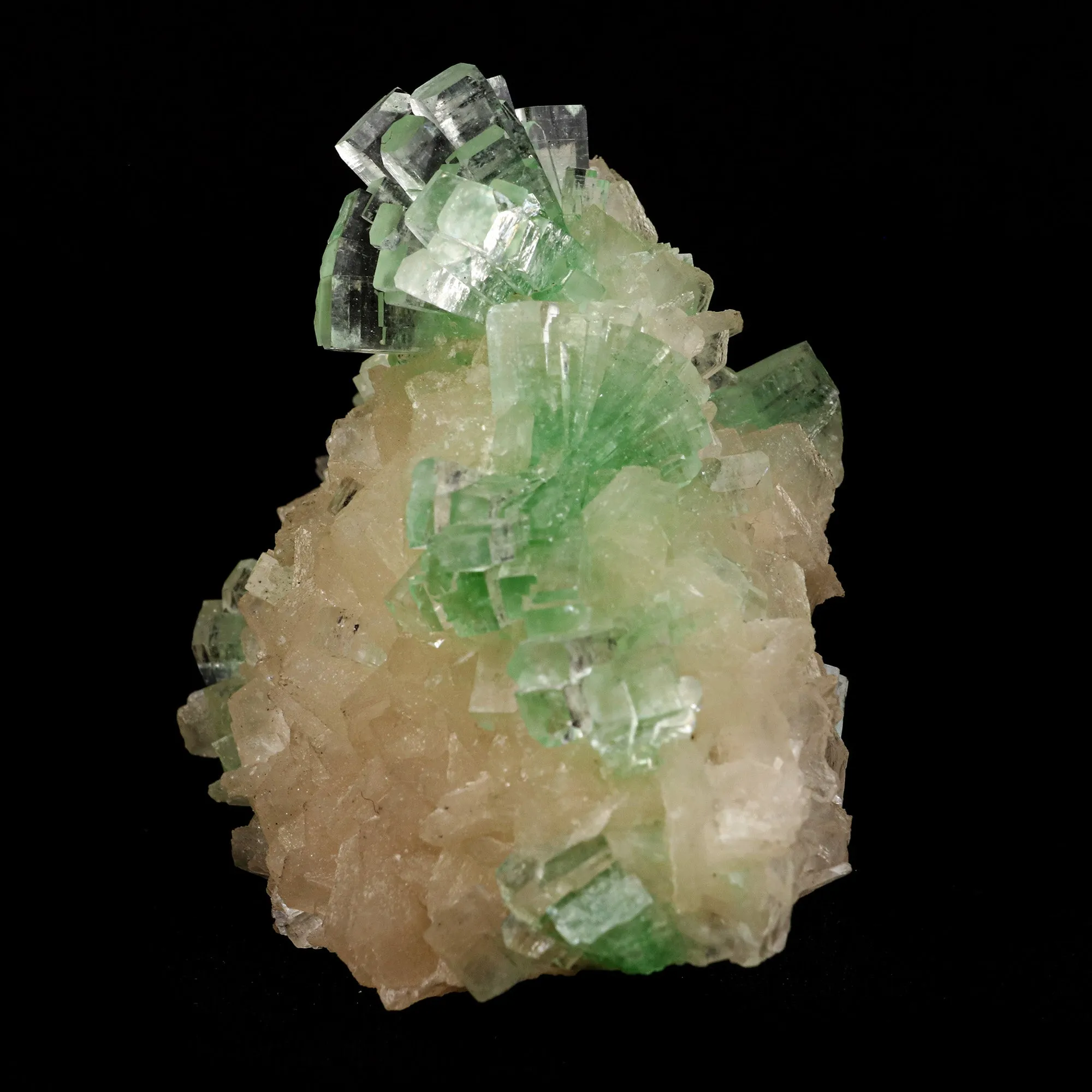 Green Apophyllite Disco Ball with Stilbite Natural Mineral Specimen - image 3