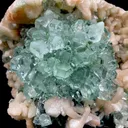 Green Apophyllite Flower, Natural Mineral Specimen DK109 - image 4