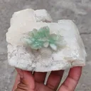 Green Apophyllite Flower on Calcite - image 6