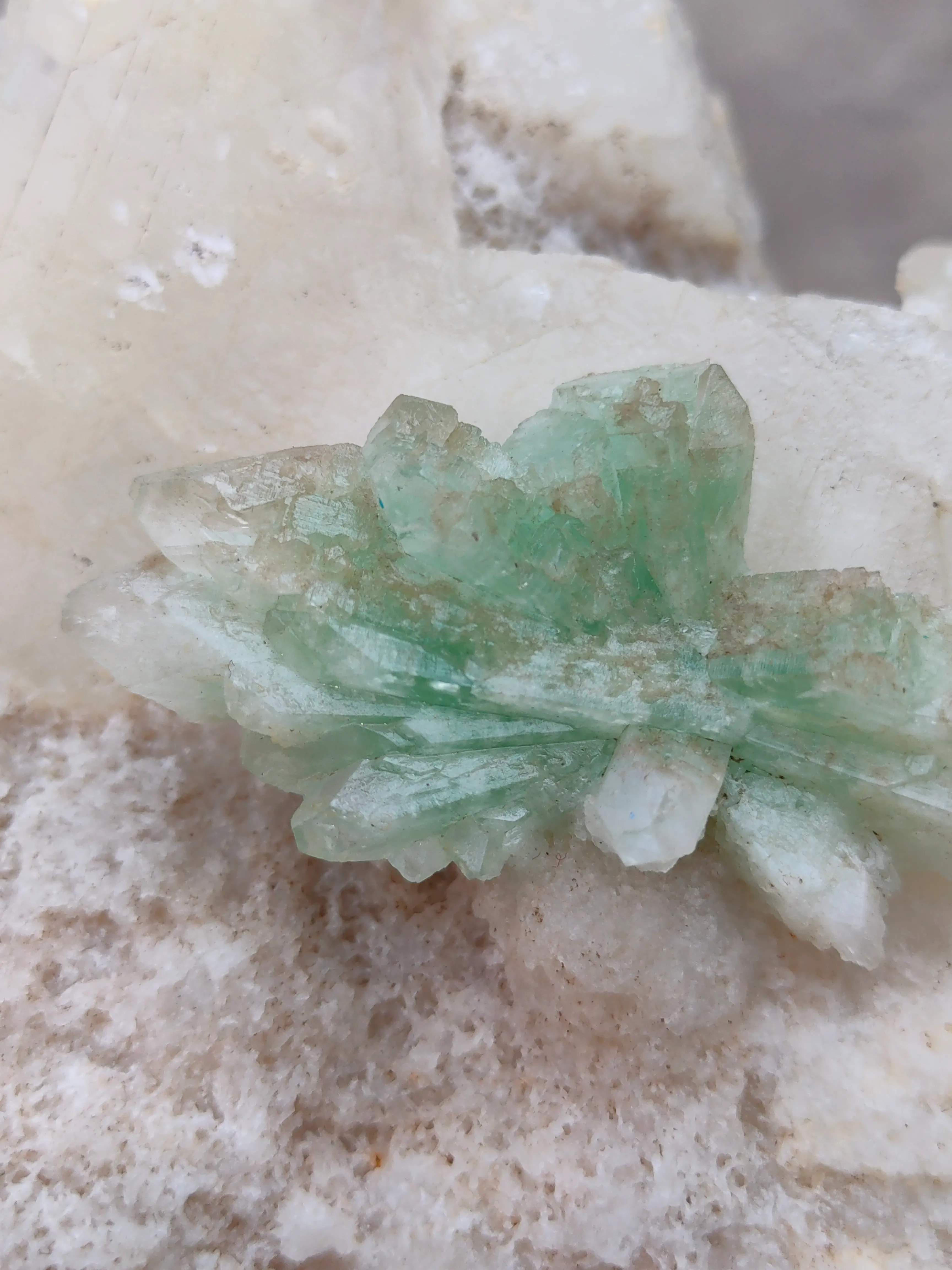 Green Apophyllite Flower on Calcite - image 2