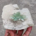 Green Apophyllite Flower on Calcite - image 4