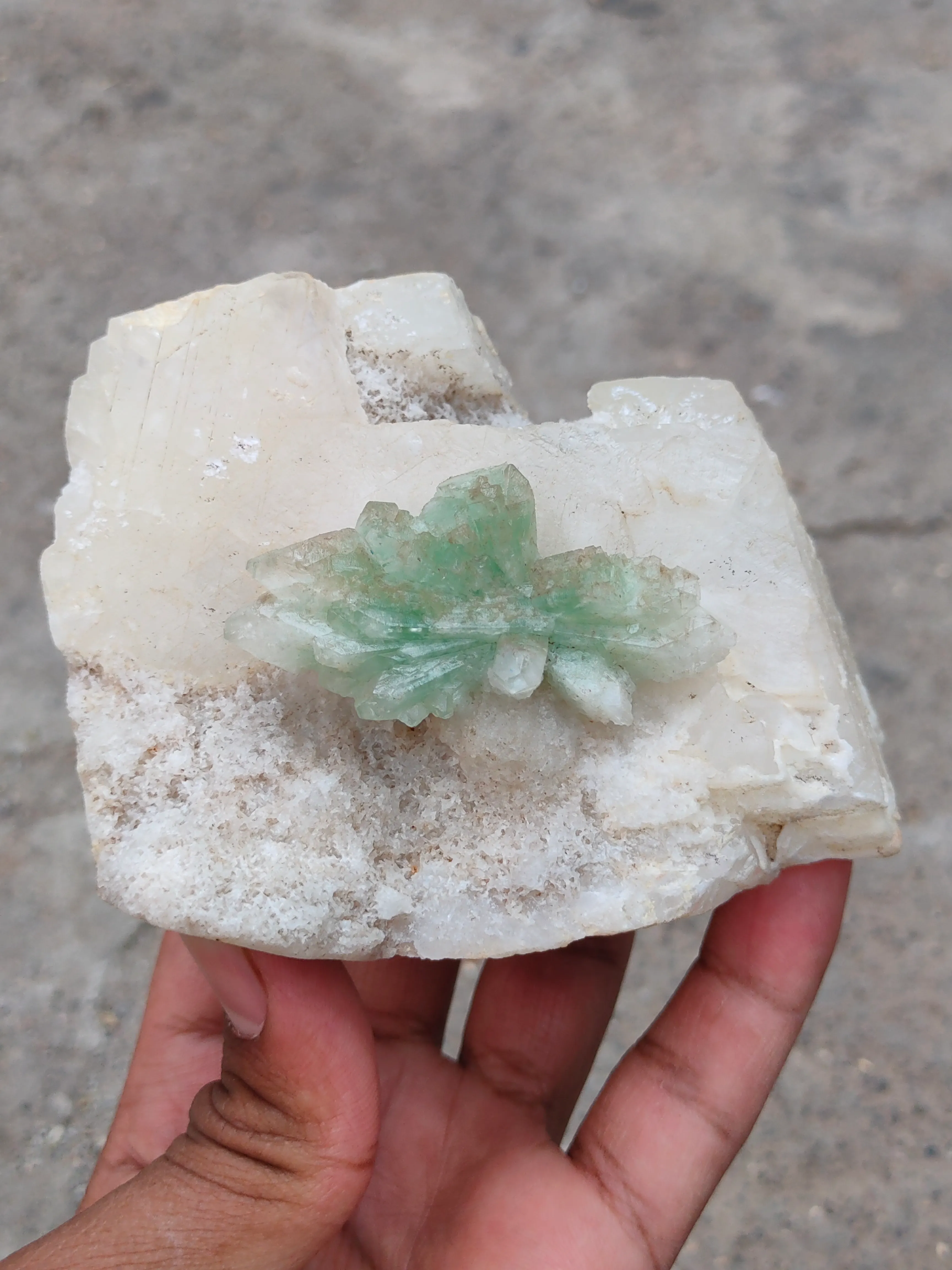Green Apophyllite Flower on Calcite - image 4