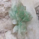 Green Apophyllite Flower on Calcite - image 3