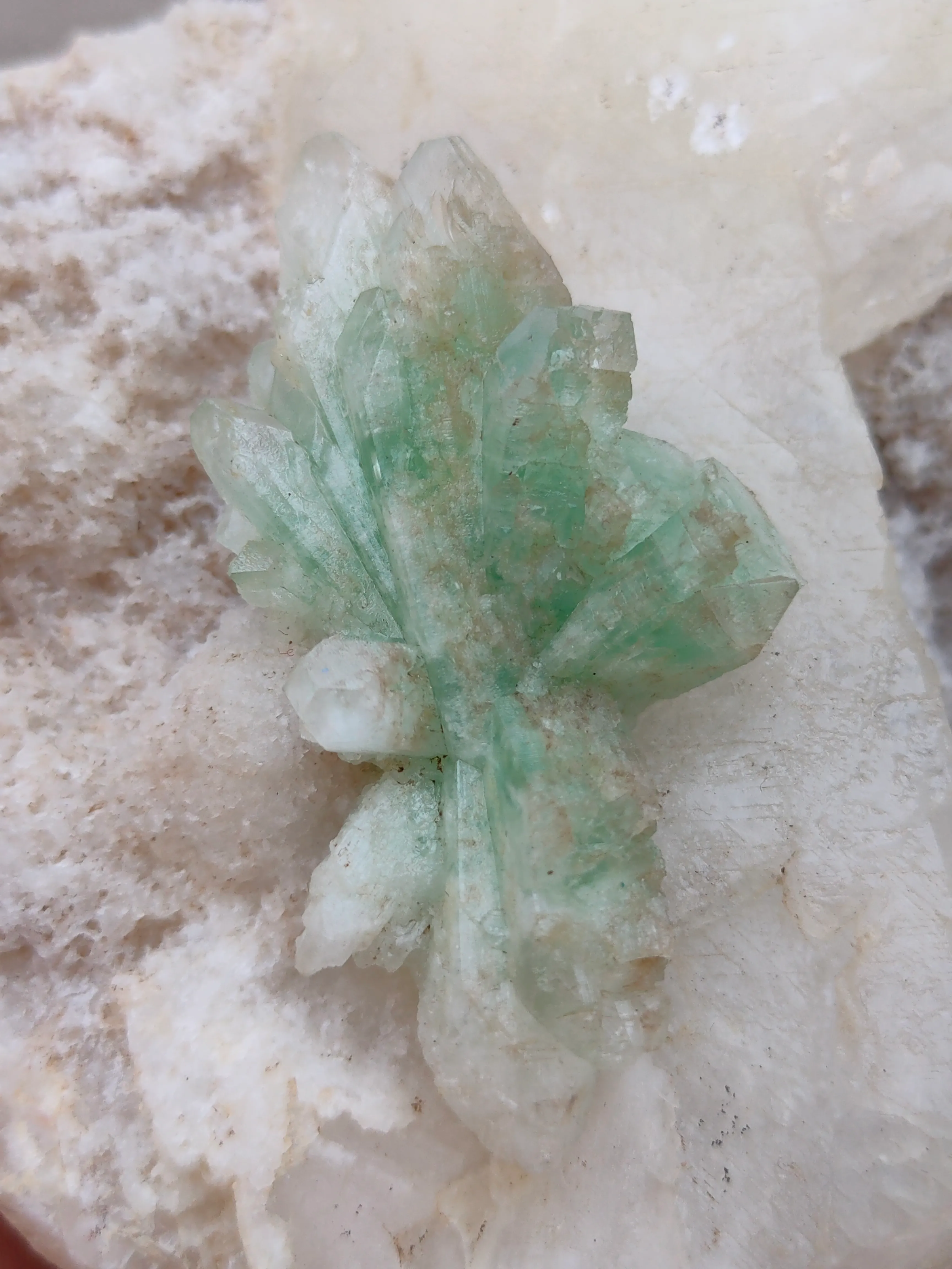 Green Apophyllite Flower on Calcite - image 3