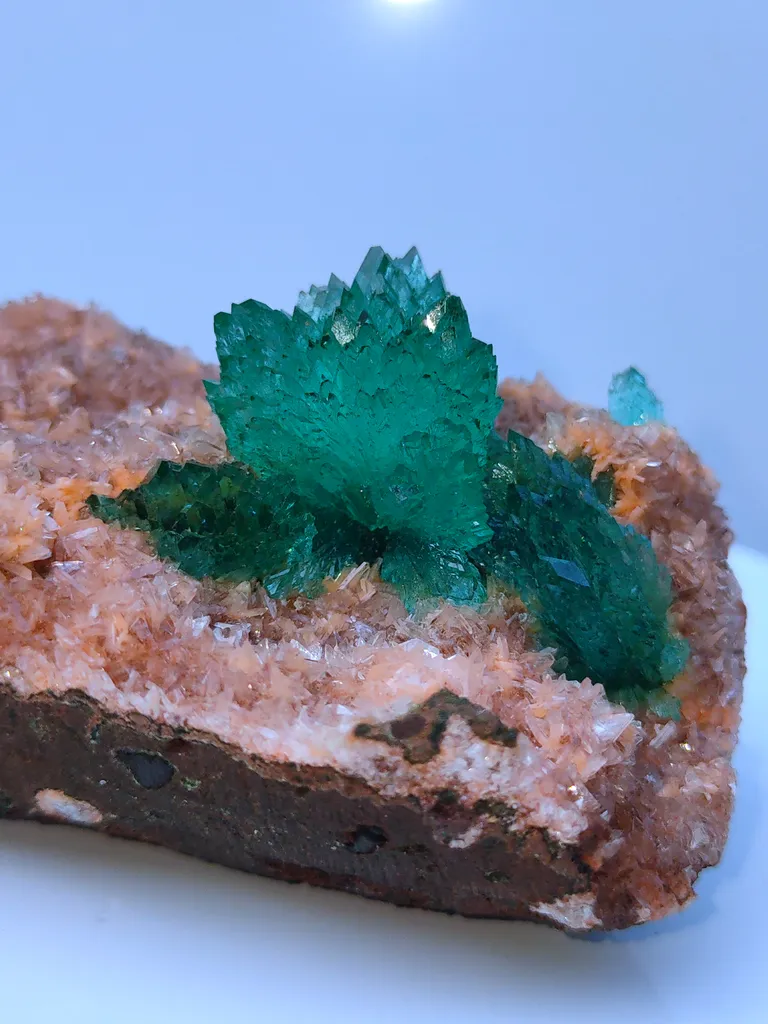Green Apophyllite Flower on Heulendite - image 7
