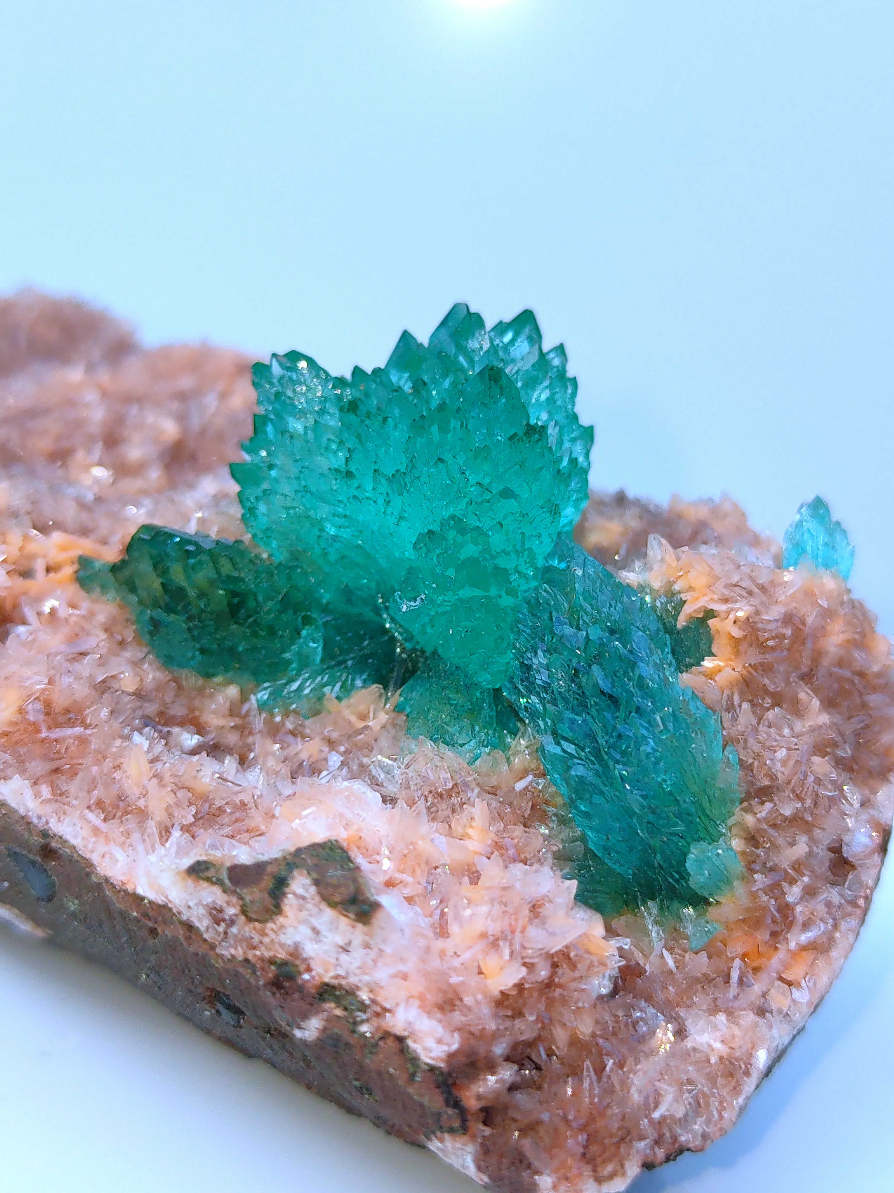 Green Apophyllite Flower on Heulendite - image 5