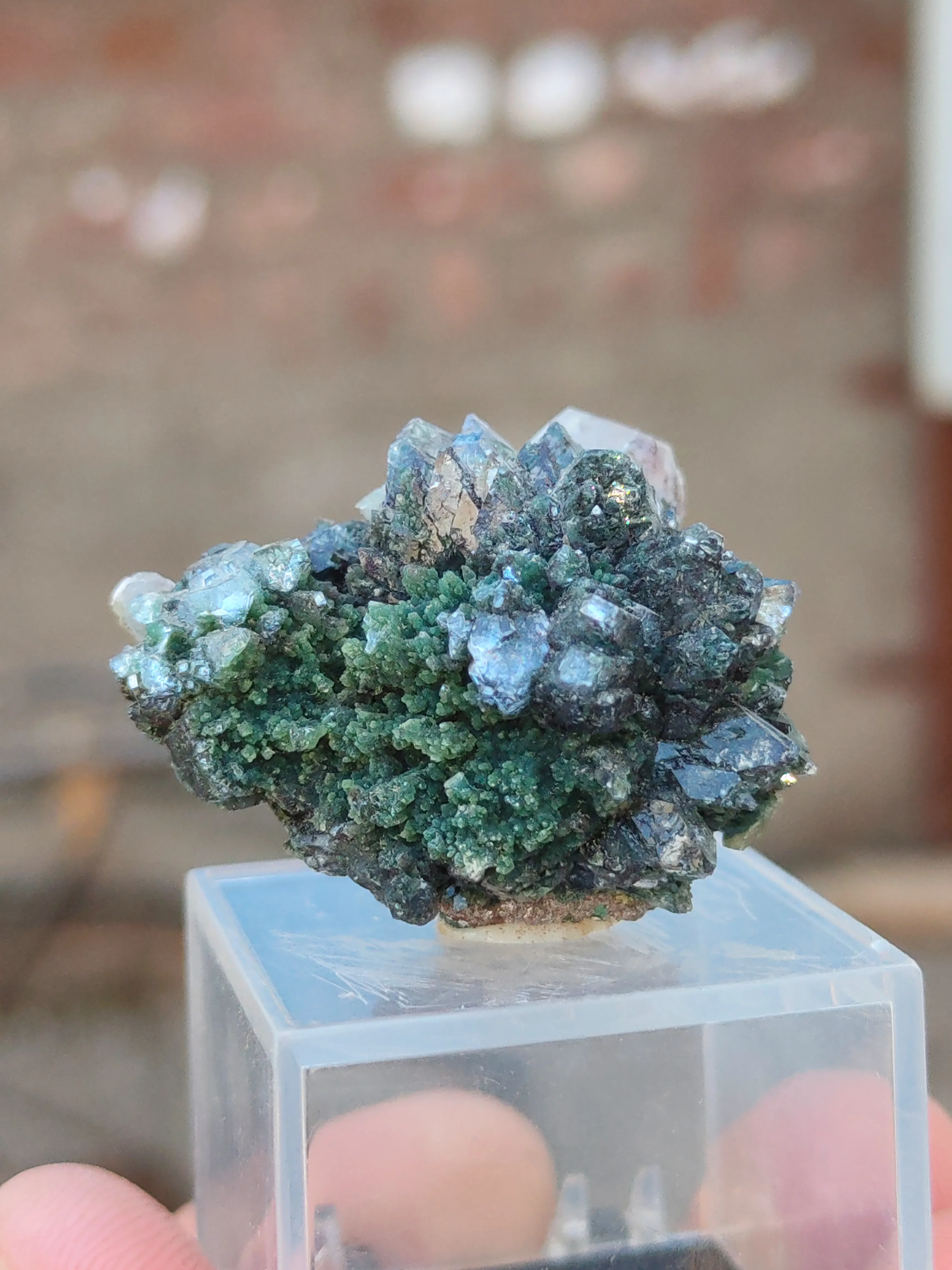 Green Apophyllite Flower with Calcite - image 7