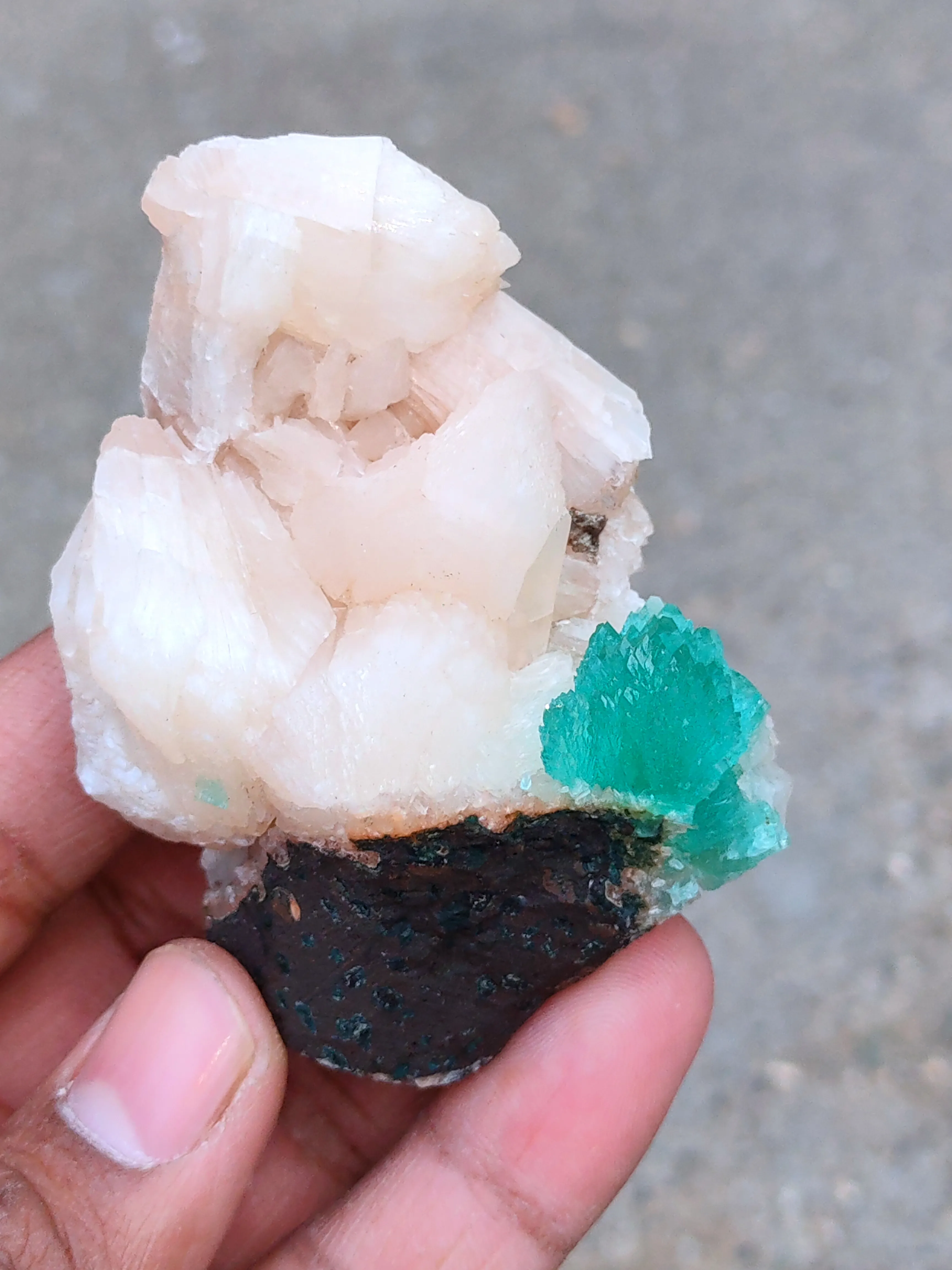 Green Apophyllite flower with Stilbite. - image 3