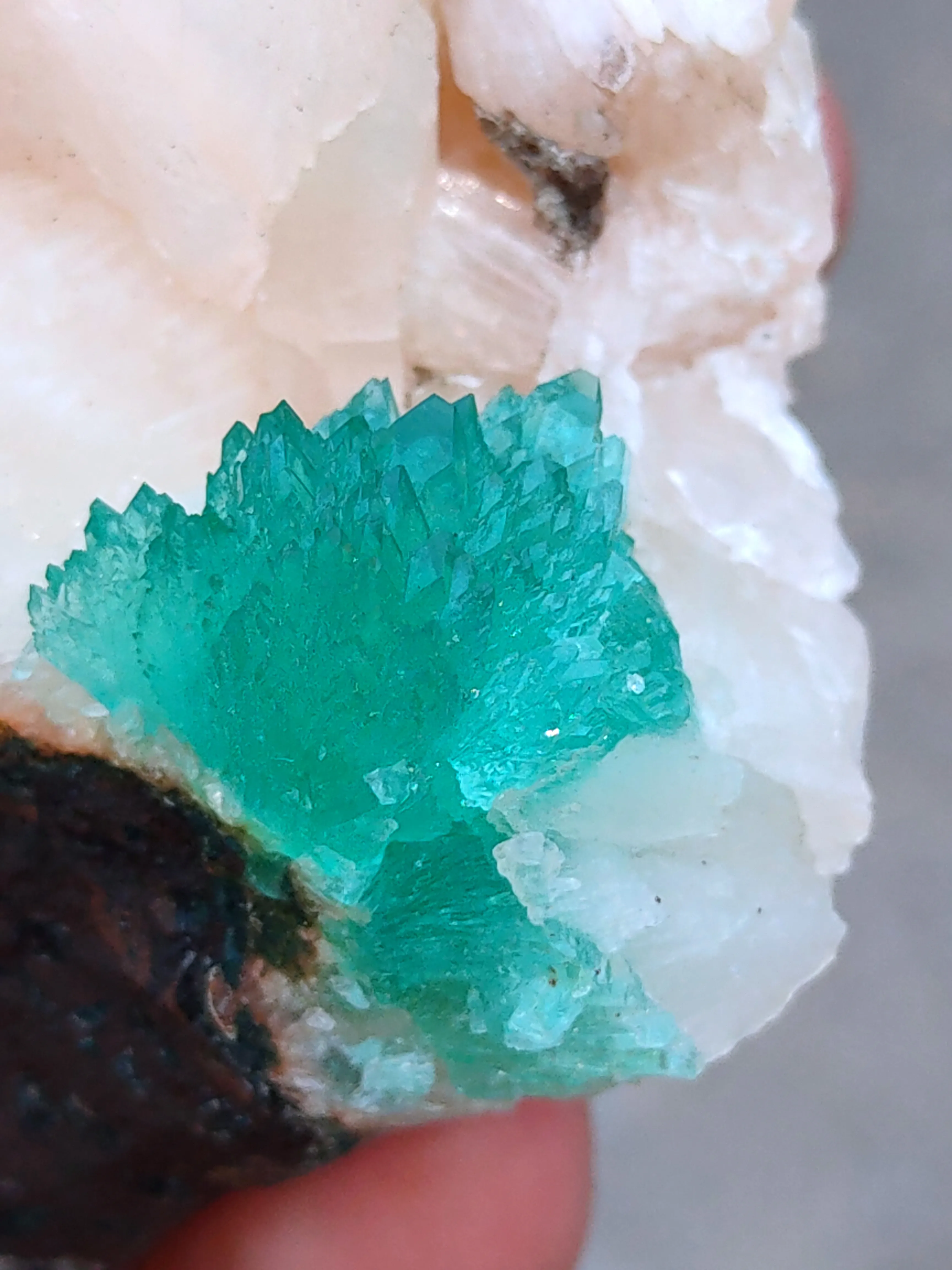 Green Apophyllite flower with Stilbite. - image 5