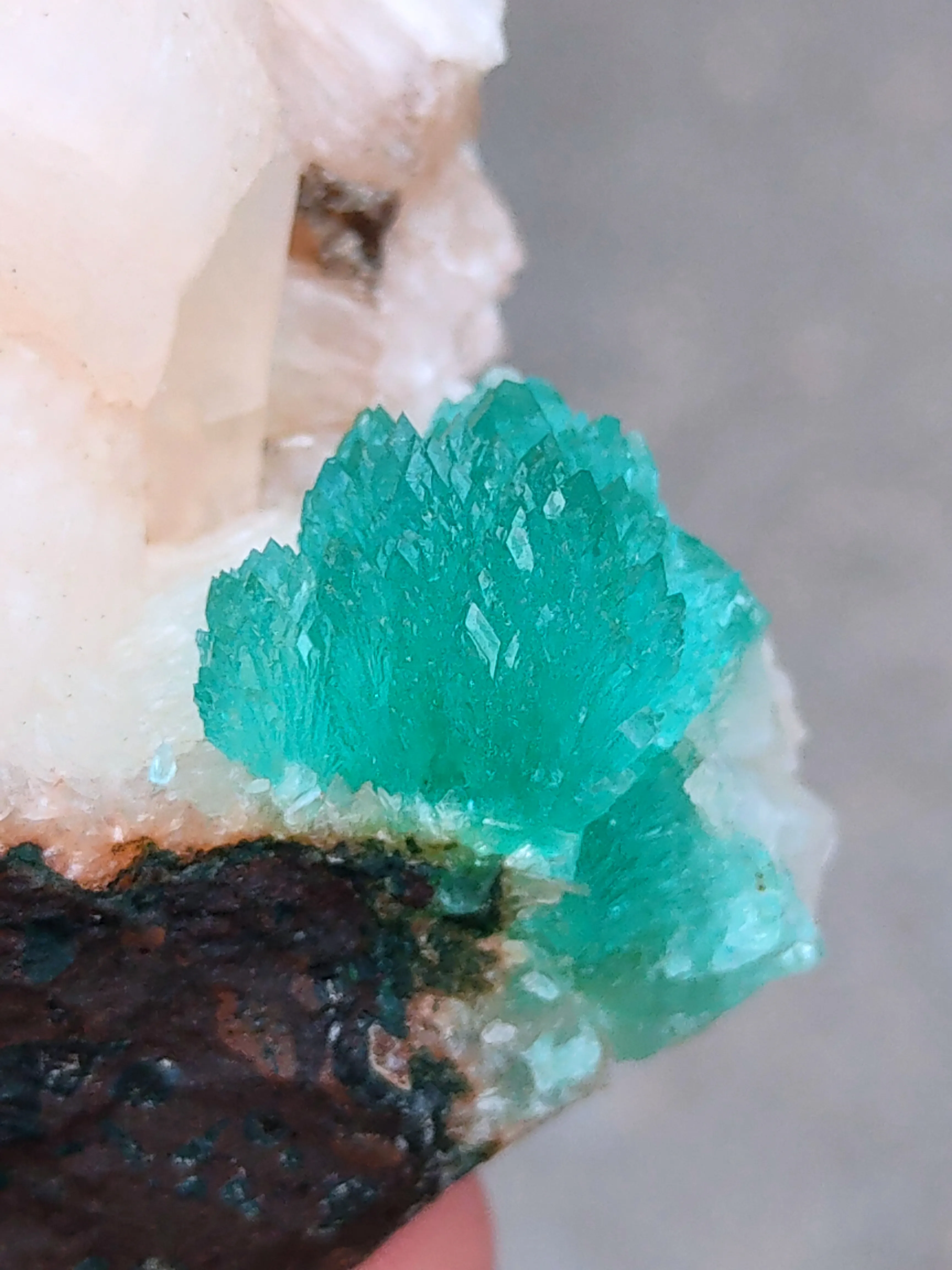 Green Apophyllite flower with Stilbite. - image 2