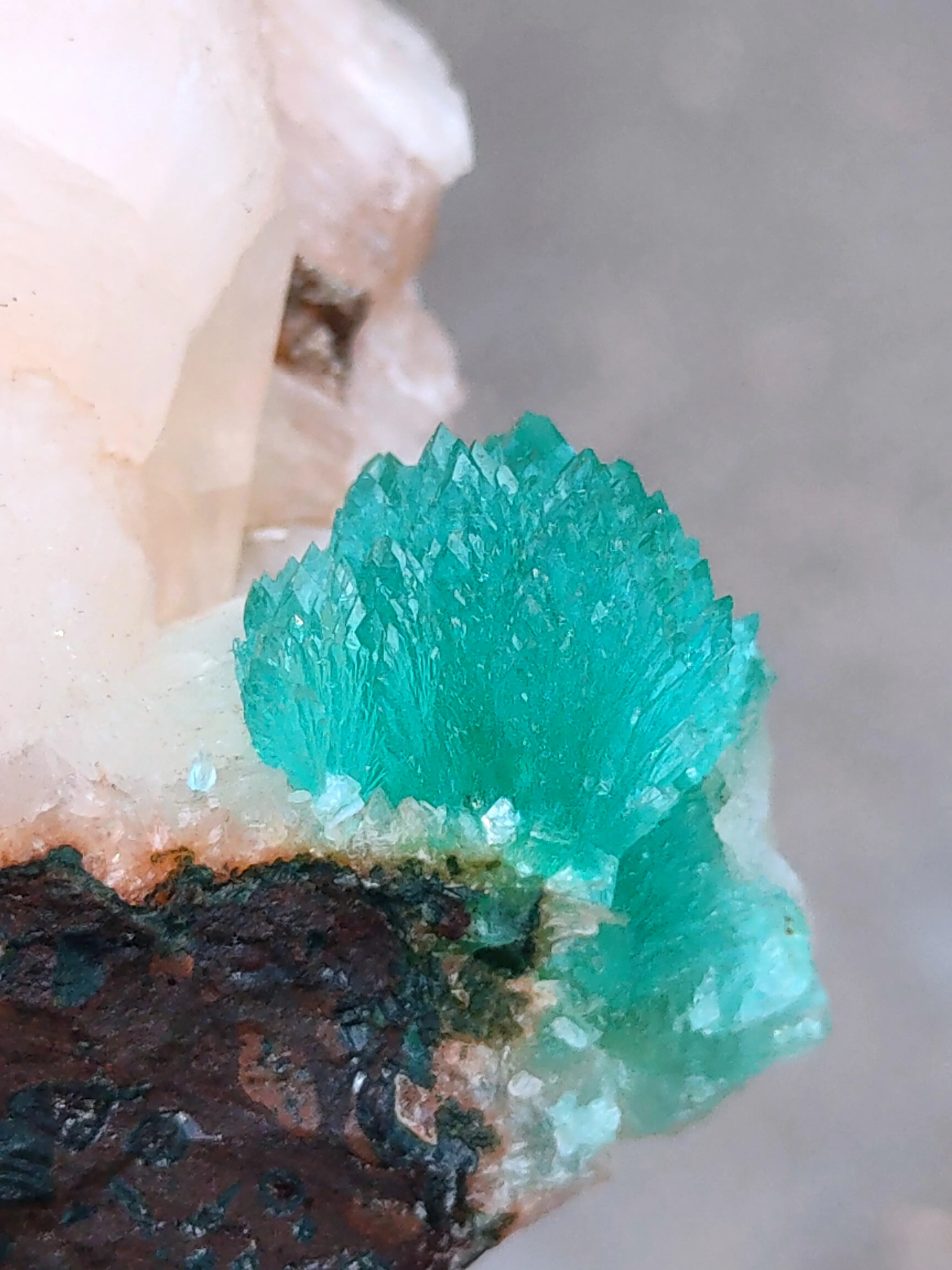 Green Apophyllite flower with Stilbite. - image 4