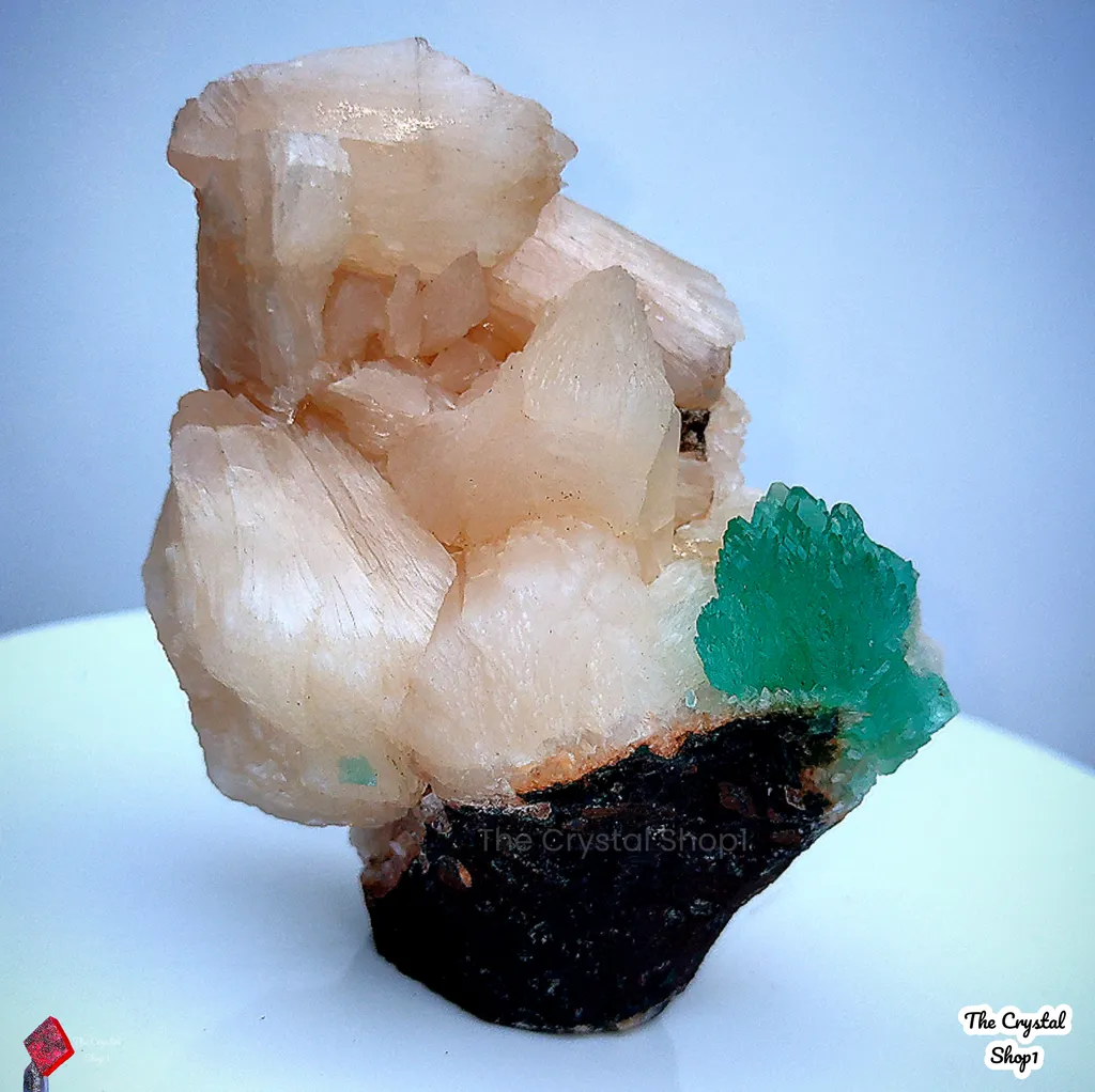 Green Apophyllite flower with Stilbite. image