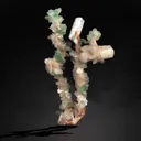 Green Apophyllite Flowers with Stilbite on Heulandite Bush Formation - image 1