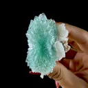 Green Apophyllite Rosette with Stilbite - Zeolite Mineral Specimen from Chhatrapati Sambhaji Nagar - image 1