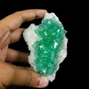 Green Apophyllite sharp terminated Natural Mineral Specimen USA - image 4