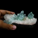 Green Apophyllite sharp terminated Natural Mineral Specimen USA - image 8