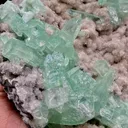 Green Apophyllite Sparkling Crystals on Heulandite Cluster - image 5