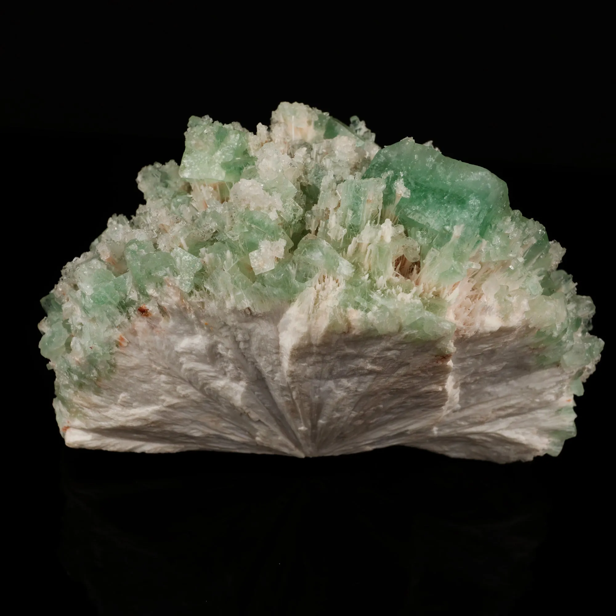 Green Apophyllite with Mordenite Natural Mineral Specimen - image 4