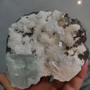 specimen video