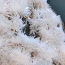 Green Apophyllite with Scolecite Flower - image 4