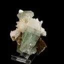 Green Apophyllite with Scolecite Spray Natural Mineral Specimen - image 1