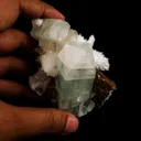 Green Apophyllite with Scolecite Spray Natural Mineral Specimen - image 4