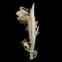 Green Apophyllite with Scolecite Sprays Natural Mineral Specimen - image 2