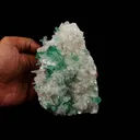 Green Apophyllite with Stilbite Natural Mineral Specimen - image 4