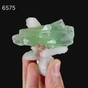 Green Apophyllite with Stilbite Natural Mineral Specimen - image 7