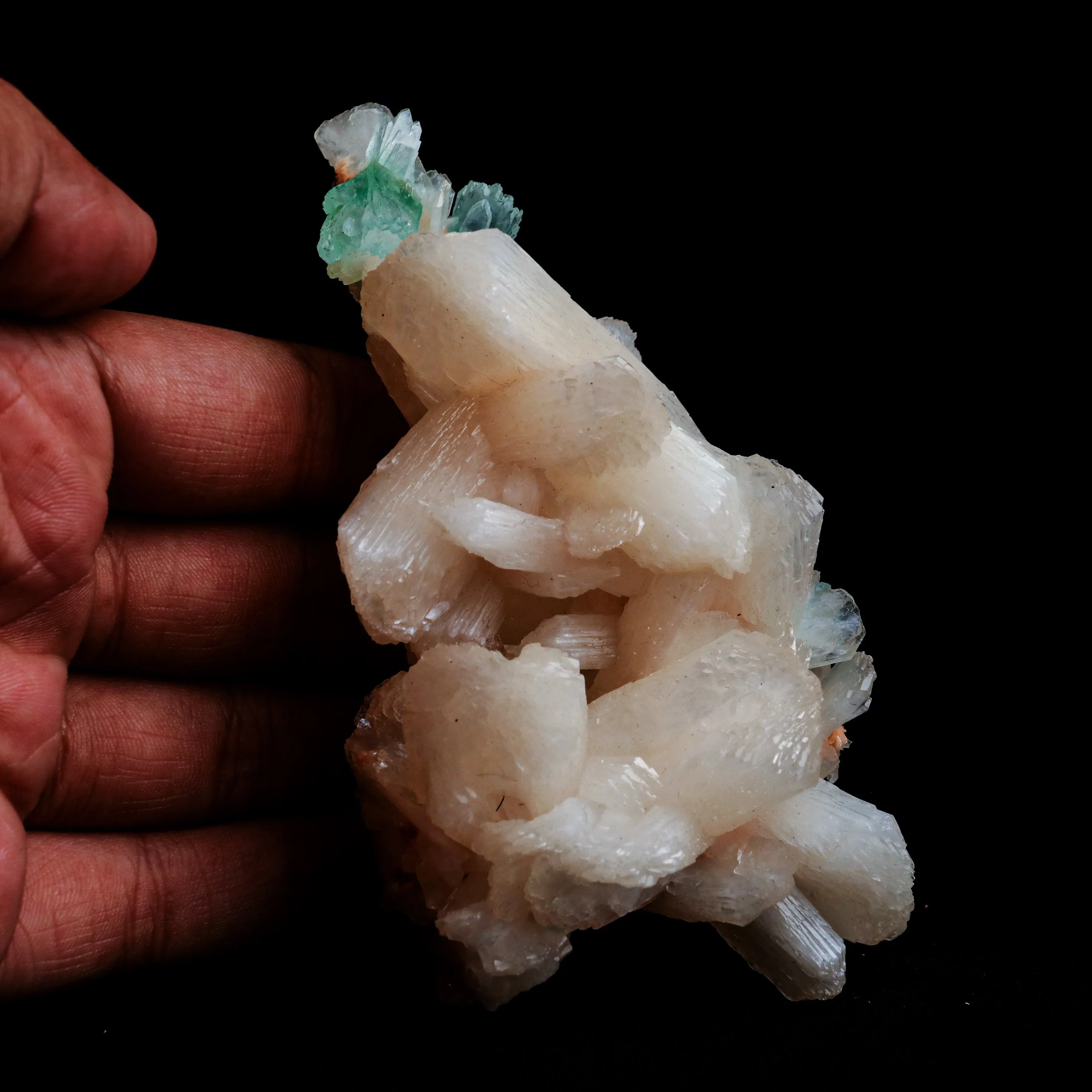 Green Apophyllite with Stilbite Natural Mineral Specimen - image 5