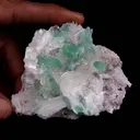 Green Apophyllite with Stilbite Natural Mineral Specimen - image 2