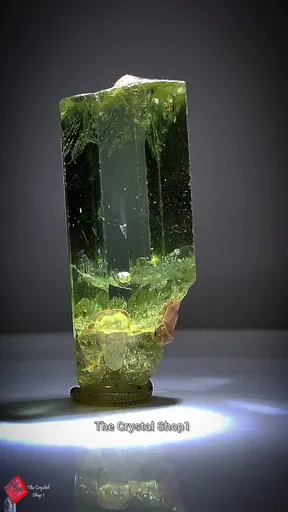 specimen video