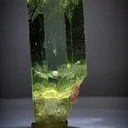 specimen video