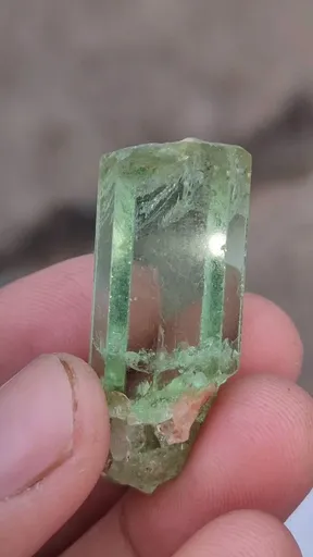 specimen video