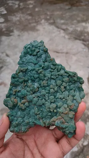 specimen video