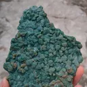 specimen video