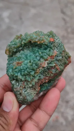 specimen video