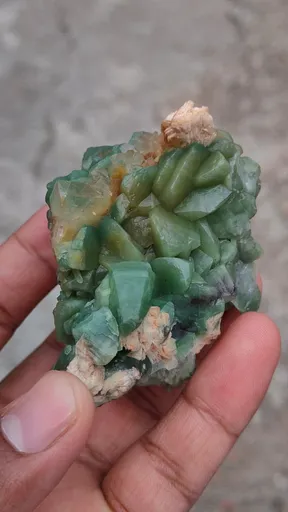 specimen video